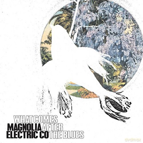 Magnolia Electric Co.: What Comes After The Blues [Winyl]
