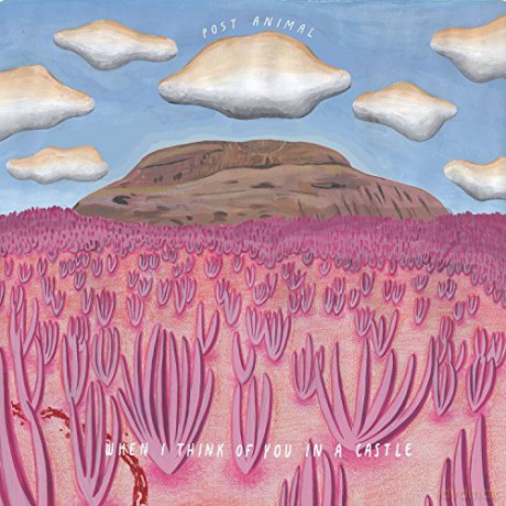 Post Animal: When I Think Of You In A Castle (Limited) (Magenta) [Winyl]