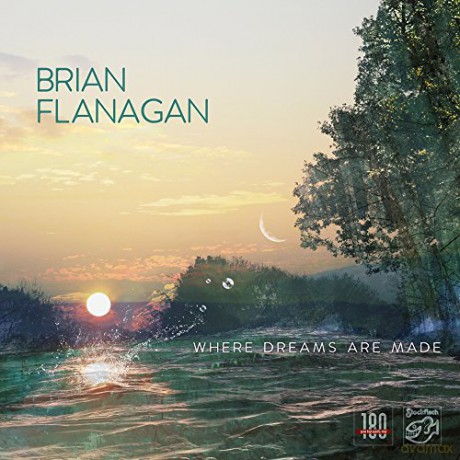 Brian Flanagan: Where Dreams Are Made [Winyl]
