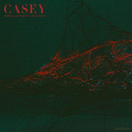 Casey: Where I Go When I Am Sleeping (Limited) (Turquoise) [Winyl]