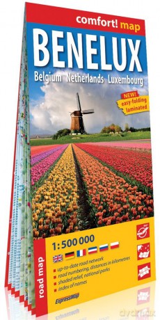 Benelux Belgia Holandia Luksemburg 1:500 000