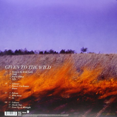 Maccabees: Given To Yhe Wild [2xWinyl]
