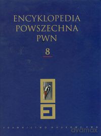 Encyklopedia Powszechna PWN (Tom 8) [KSIĄŻKA]