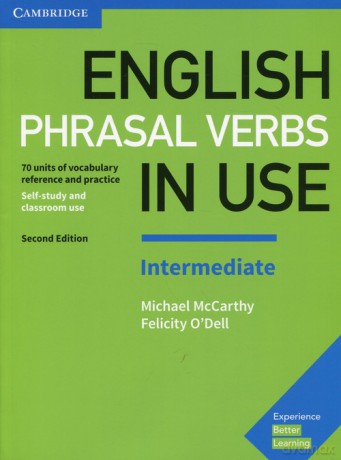 English Phrasal Verbs in Use Intermediate [KSIĄŻKA]