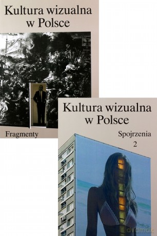 Kultura wizualna w Polsce [KSIĄŻKA]