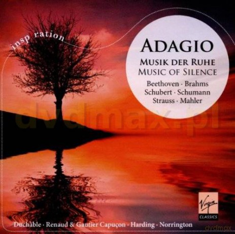 Music Of Silence [CD]