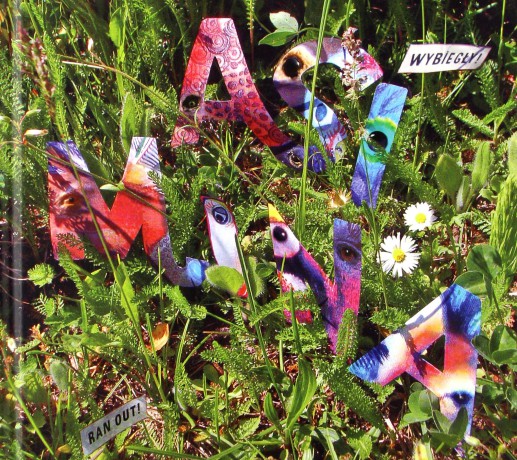 Asi Mina: Wybiegły [CD]