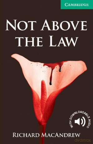 Not Above the Law - Richard MacAndrew [KSIĄŻKA]