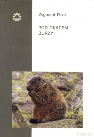 Pod okapem burzy - Zygmunt Ficek [KSIĄŻKA]