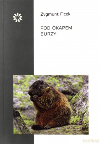 Pod okapem burzy - Zygmunt Ficek [KSIĄŻKA]