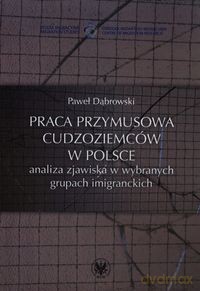 Praca przymusowa cudzoziemców w Polsce - Paweł Dąbrowski [KSIĄŻKA]