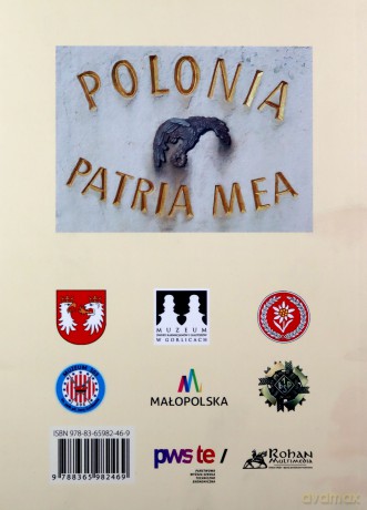 Skrzydła zwycięzców skrzydła pokonanych skrzydła niepodległości 1918 [KSIĄŻKA]