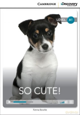 So Cute! Beginning Book with Online Access - Kenna Bourke [KSIĄŻKA]