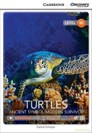 Turtles: Ancient Symbol/Modern Survivor - Karmel Schreyer [KSIĄŻKA]