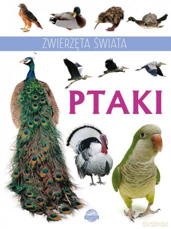 Zwierzęta świata Ptaki [KSIĄŻKA]