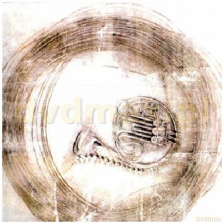 Name: Internet Killed The Audio Star [CD]