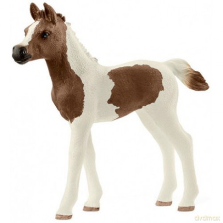 SCHLEICH Żrebię Rasy Pintabian