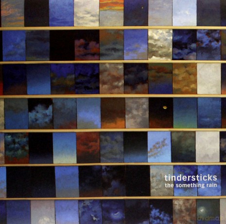 Tindersticks: The Something Rain [WINYL]