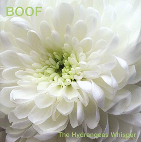 Boof: Hydrangeas Whisper [CD]