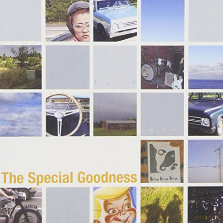 Special Goodness: Land Air Sea [CD]