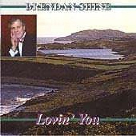 Brendan Shine: Lovin You [CD]