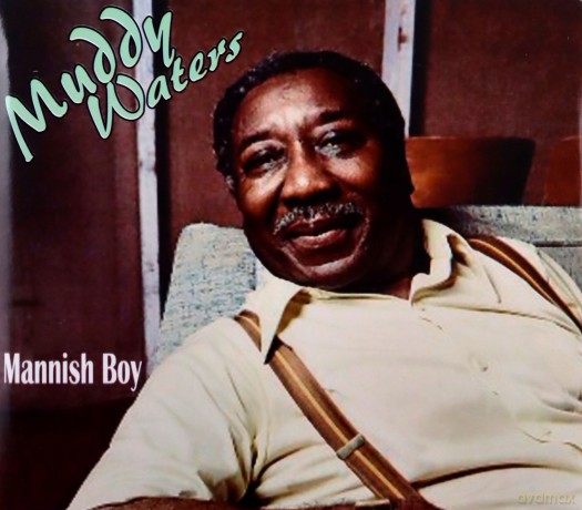 Muddy Waters: Mannish Boy [CD]