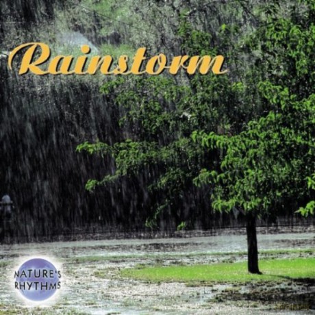 Nature's Rhythms: Rainstorm [CD]