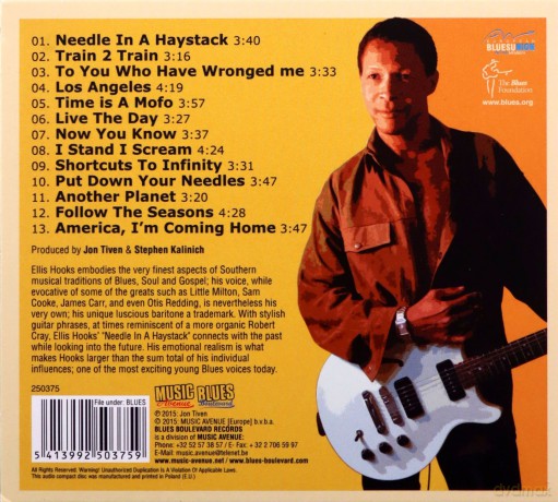 Ellis Hooks: Needle In A Haystack [CD]