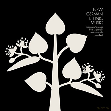 New German Ethnic Music - Immigrant S Songs From Germany Ele [CD]