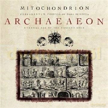 Mitochondrion: Archaeaeon [CD]