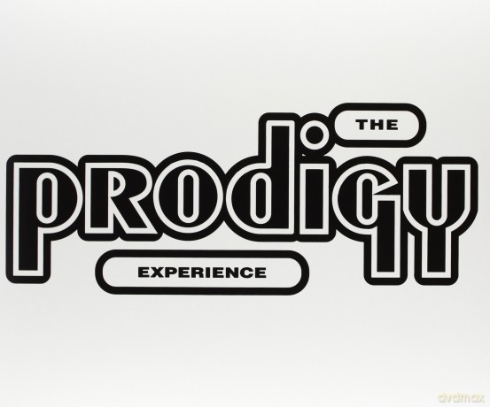 The Prodigy: Experience [2xWinyl]