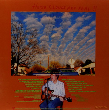 The Flaming Lips: Clouds Taste Metallic [Winyl]