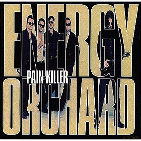 Energy Orchard: Pain Killer [CD]