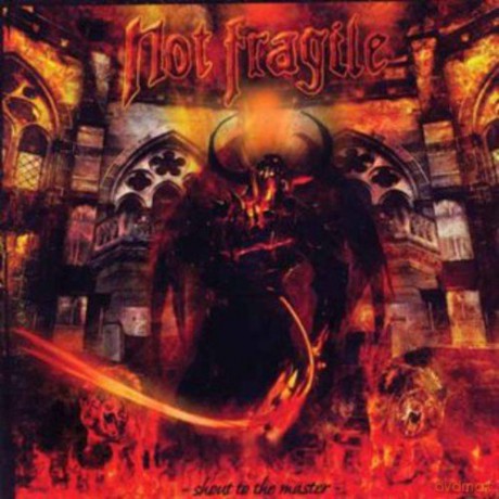 Not Fragile: Shout to the Master [CD]