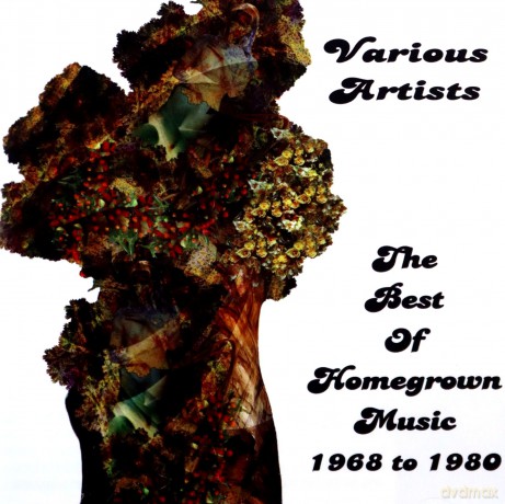 The Best of Homegrown Music 1968-1980 [CD]