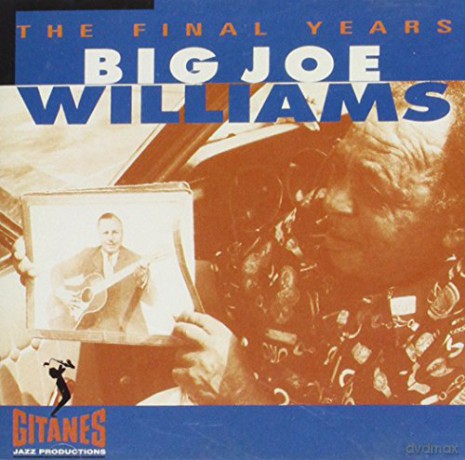 Big Joe Williams: The Final Years [CD]