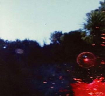 Arab Strap: The Last Romance [CD]