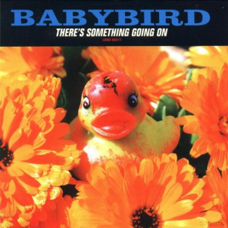 Baby Bird: There's Something Going On [CD]