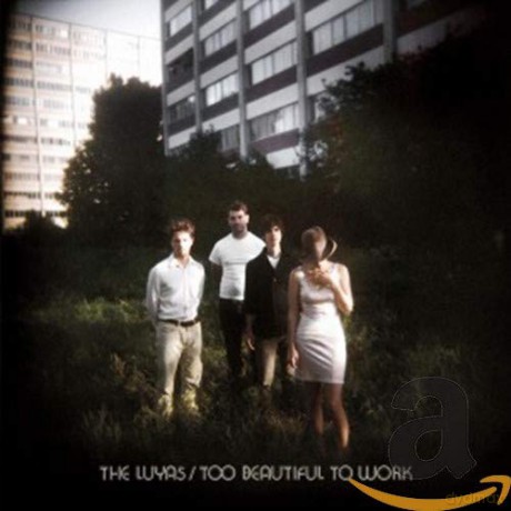 Luyas: Too Beautiful To Work [CD]