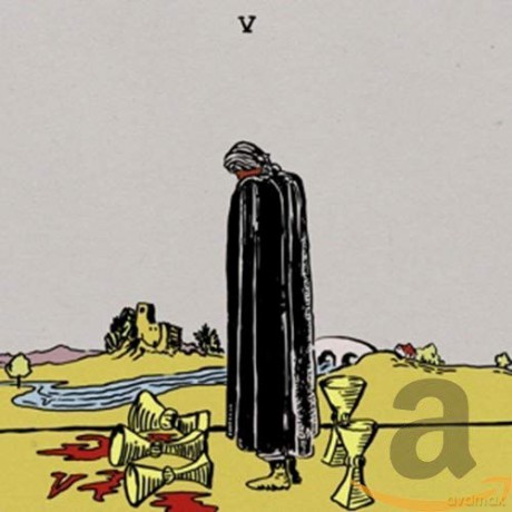 Wavves: V [CD]