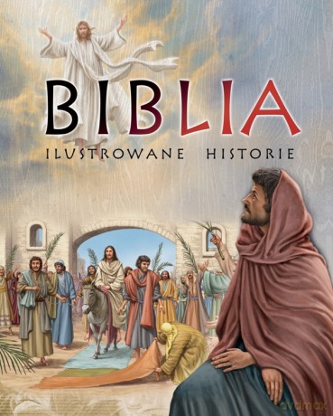 Biblia. Ilustrowane historie [KSIĄŻKA]