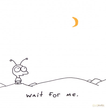 Moby: Wait for Me [CD]