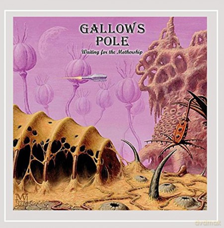 Gallows Pole: Waiting for the Mother [CD]