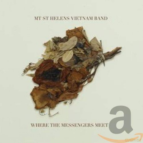 Mt. St. Helens Vietnam Ba: Where The Messengers Meet [CD]