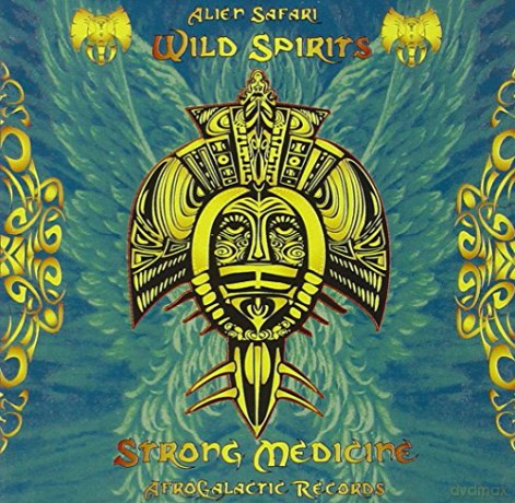 Wild Spirits - Strong Medicine [CD]