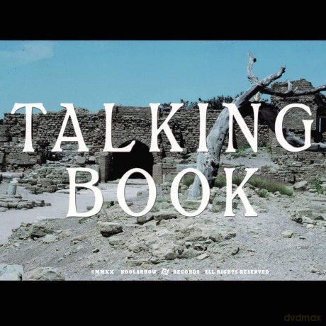 Talking Book: Talking Book II [Winyl]