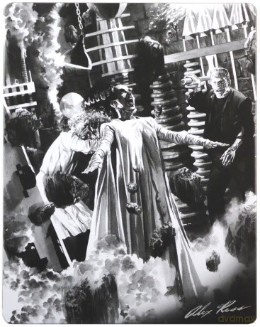 Bride Of Frankenstein (steelbook) (Narzeczona Frankensteina) [Blu-Ray]