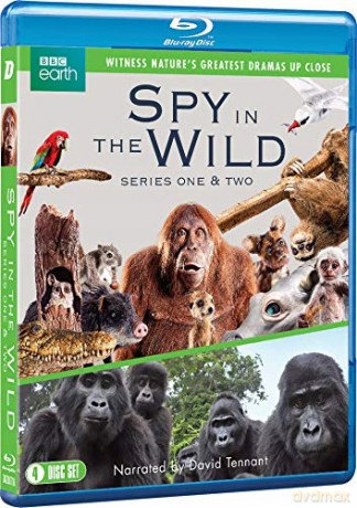 Spy In The Wild: Season 1-2 (Szpiedzy wśród zwierząt: Sezon 1-2) [Blu-Ray]