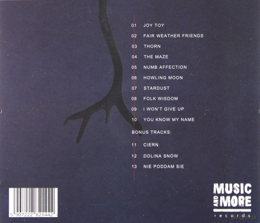 Naked Root: The Maze [CD]