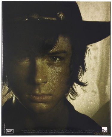 The Walking Dead: Seasons 1 to 5 [20xBlu-Ray]